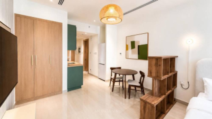Burj View - Upgradaded - Furnished-5
