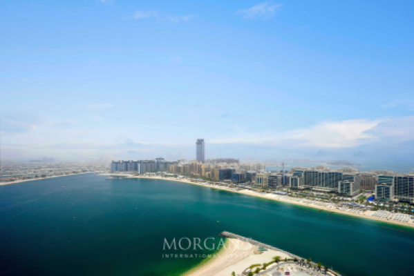 Furnished Unit  | Luxurious Layout | 1 BR-22