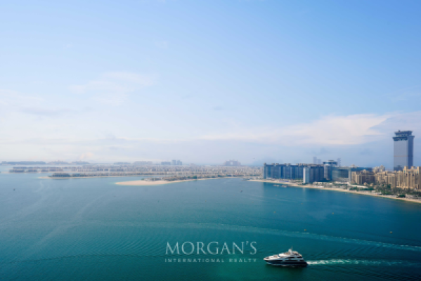 Brand New | Palm View | Spacious Layout-28