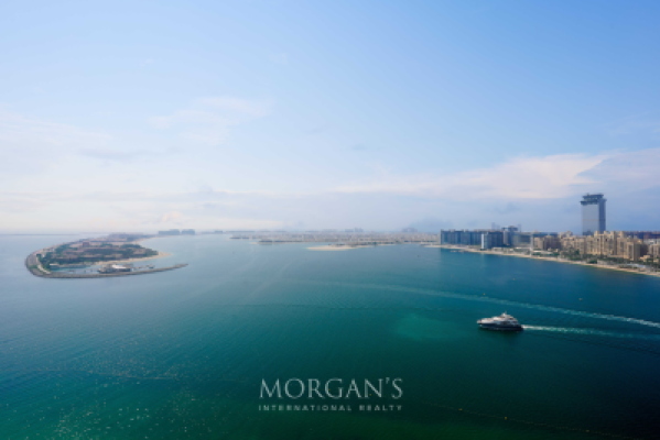 Brand New | Palm View | Spacious Layout-29