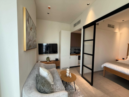 Fully Furnished | Spacious Studio | Prime Location-4