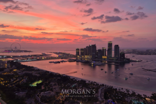 2BR + M | Palm View | Furnished-12