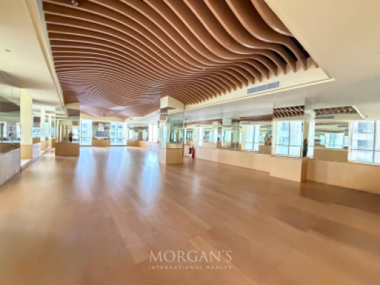 3 BR | High Floor | Brand New | Big Layout-9