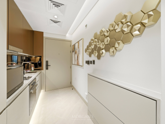Modern Studio | Furnished | Prime Location-8