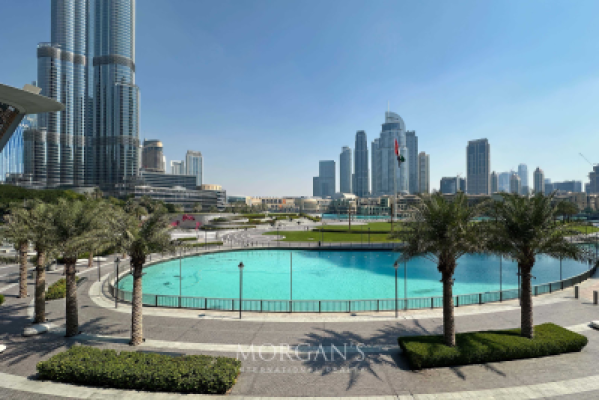 Luxury 1BR  | Premium Furniture | Brand New-3