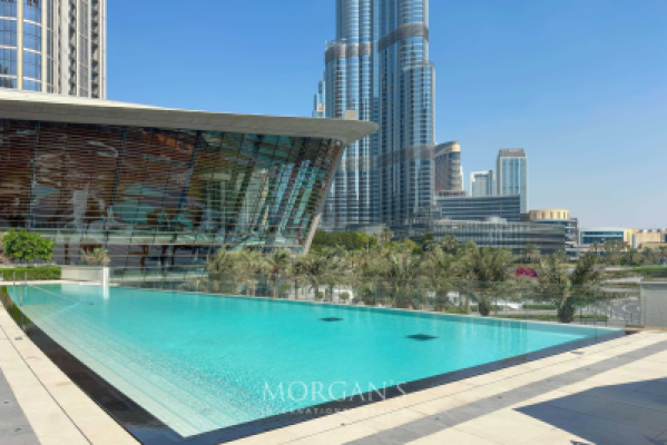 Luxury 1BR  | Premium Furniture | Brand New-19