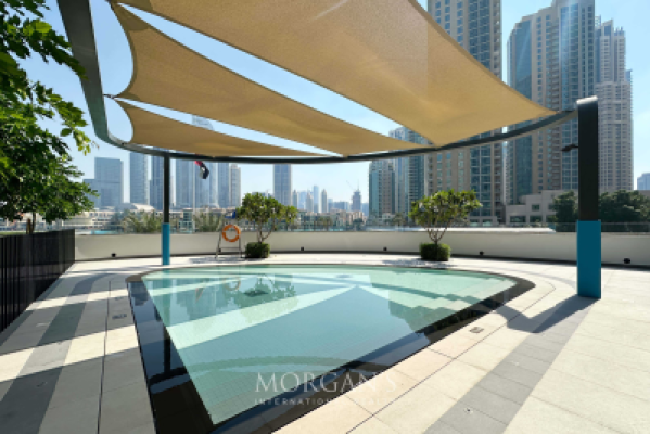 Luxury 1BR  | Premium Furniture | Brand New-22