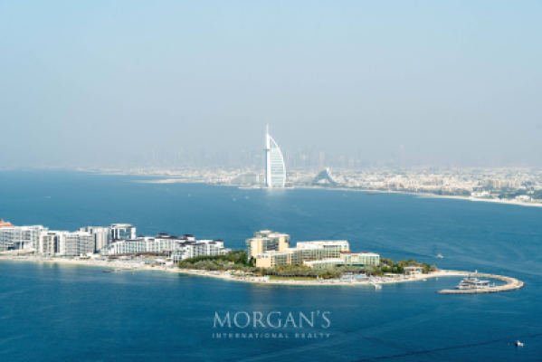 1BR Apartment | Best Option | Palm View-13