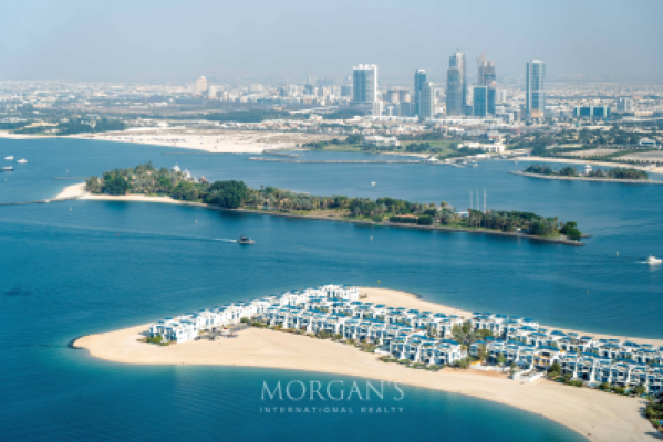 1BR Apartment | Best Option | Palm View-13