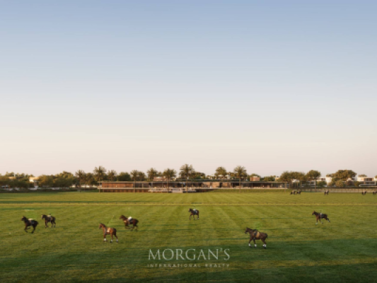 3BR + Maid | Equestrian Lifestyle | Grand Polo-10