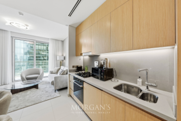 1BR Apartment  | Furnished | Dubai Mall Access-8