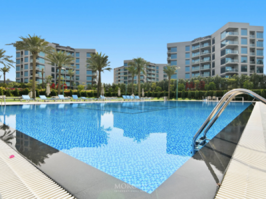 Tenanted 1BR | High Floor | Furnished-9