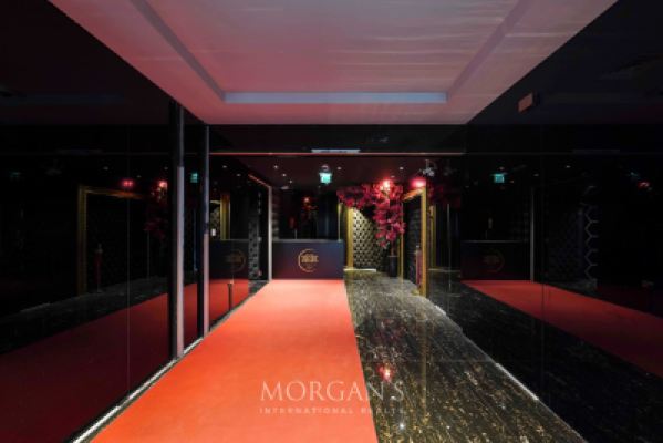 Luxury Nightclub | Prime Location | High-End -8