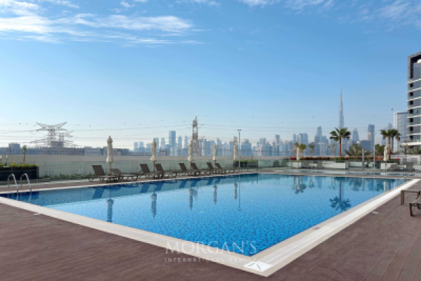 Investor Deal | Cozy Studio | Park View-13