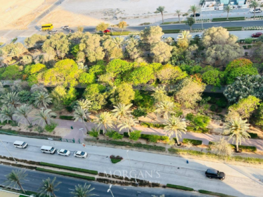 Spacious 1BR | Prime Area | Vacant Soon-10