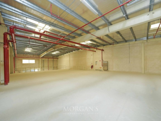 Spacious G+M Warehouse | 19kW | Industrial Use-3