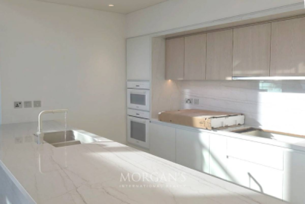 2 BR Duplex | High Ceiling | Brand New-3