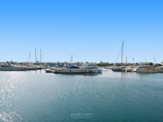 2 BR Apartment | Furnished | With Walk In Closet-24